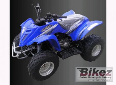2010 E-Ton Viper 90 photo